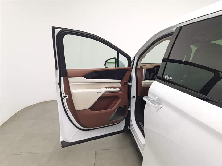 Фото 8 - BYD Xia