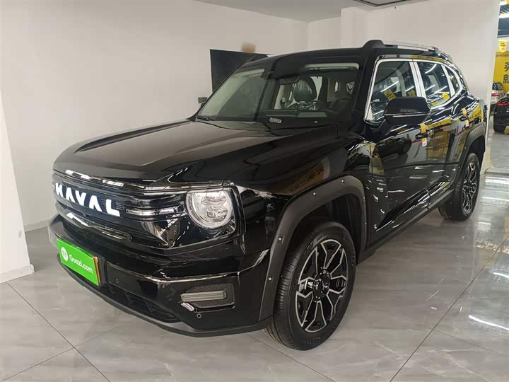 Фото 1 - Haval H-Dog Hybrid