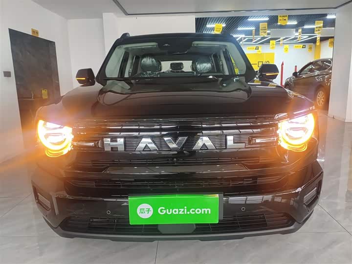 Фото 3 - Haval H-Dog Hybrid
