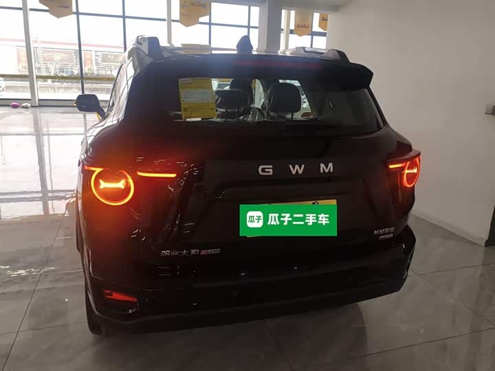 Фото 6 - Haval H-Dog Hybrid