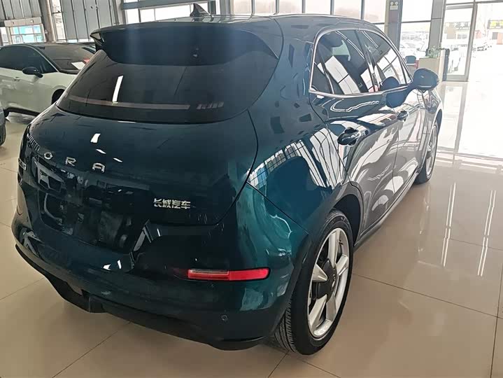 Фото 3 - Ora Good Cat (03)