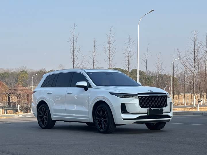 Фото 3 - LiXiang One