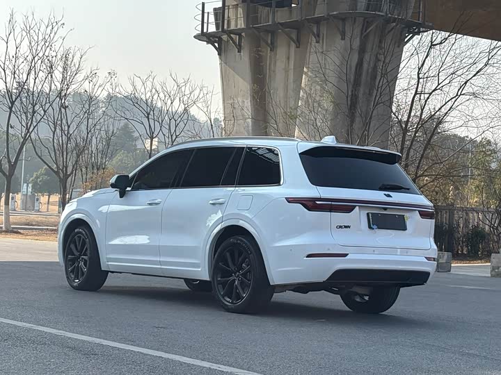 Фото 7 - LiXiang One