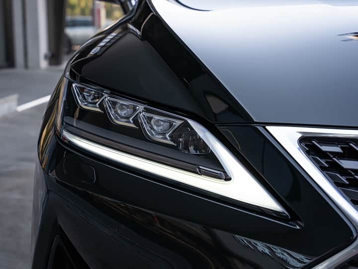Фото 6 - Lexus RX