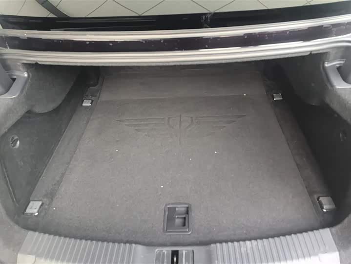 Фото 4 - Hongqi H9