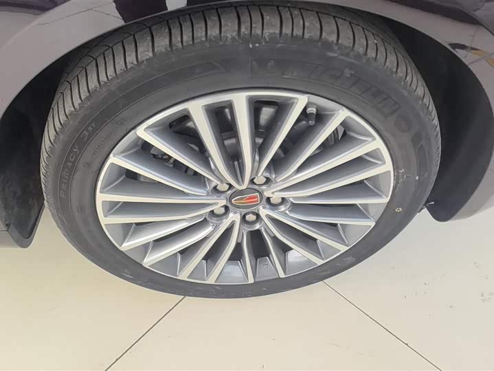 Фото 6 - Hongqi H9