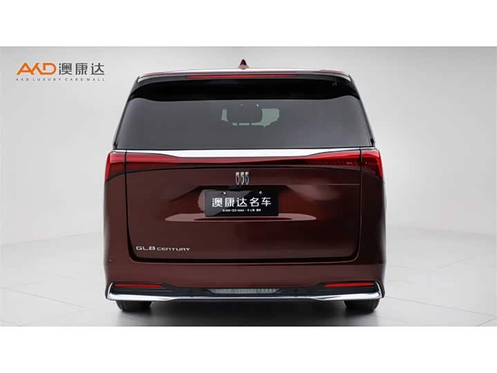 Фото 4 - Buick GL8 Century