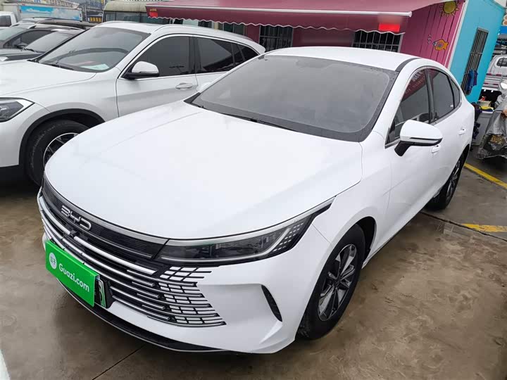 Фото 2 - BYD Destroyer 05