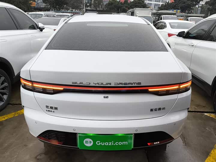 Фото 6 - BYD Destroyer 05