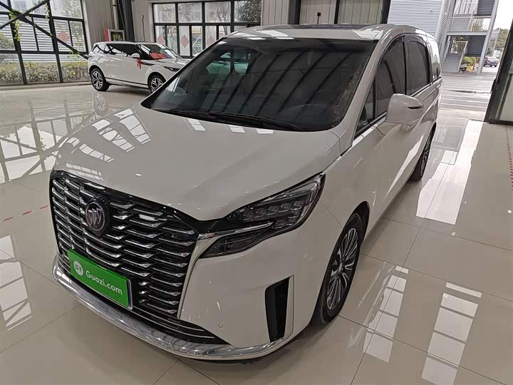 Фото 2 - Buick GL8 ES