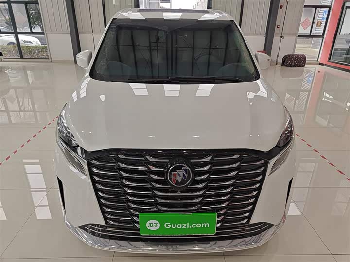 Фото 3 - Buick GL8 ES