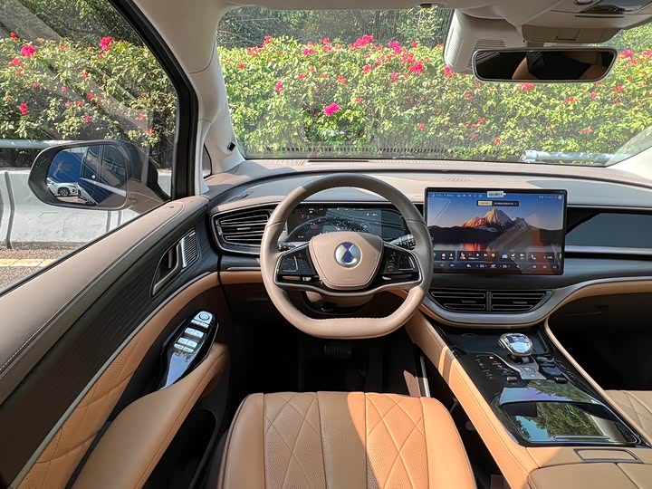 Фото 4 - Denza D9