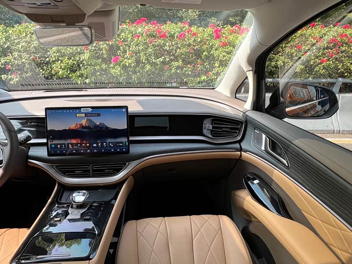 Фото 6 - Denza D9