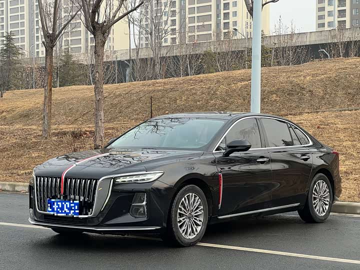 Фото 1 - Hongqi H5