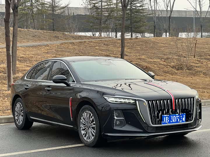 Фото 4 - Hongqi H5