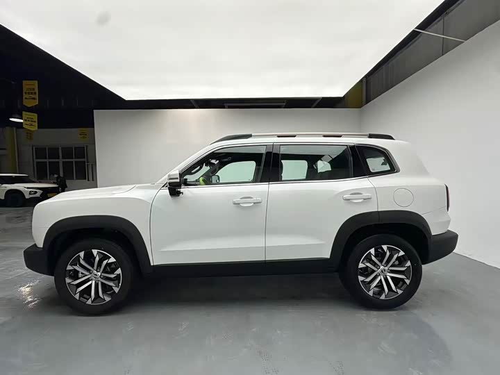 Фото 3 - Haval Dargo