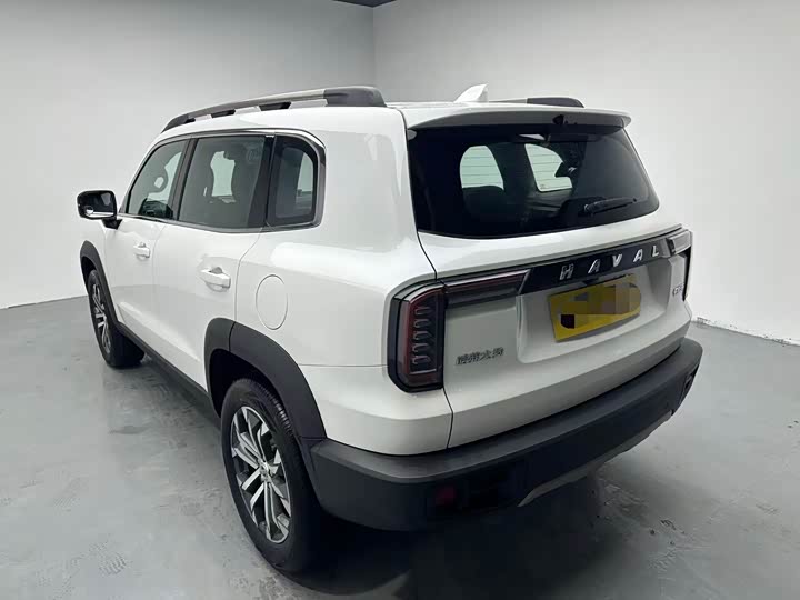 Фото 7 - Haval Dargo