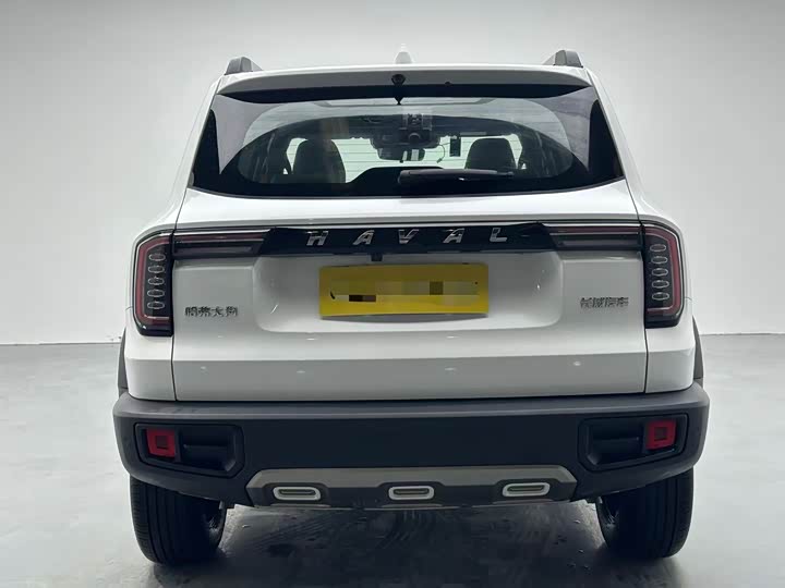 Фото 8 - Haval Dargo