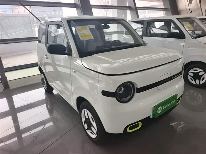 Фото 4 - Geely Galaxy Panda Mini