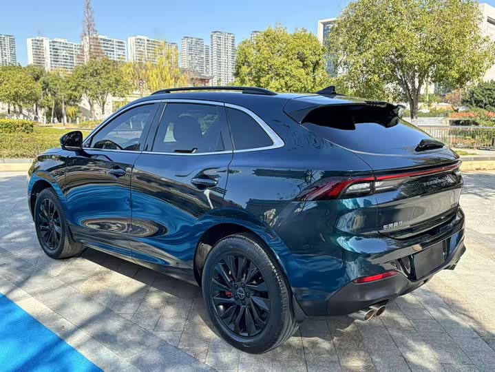 Фото 5 - Dongfeng Forthing T5 EVO