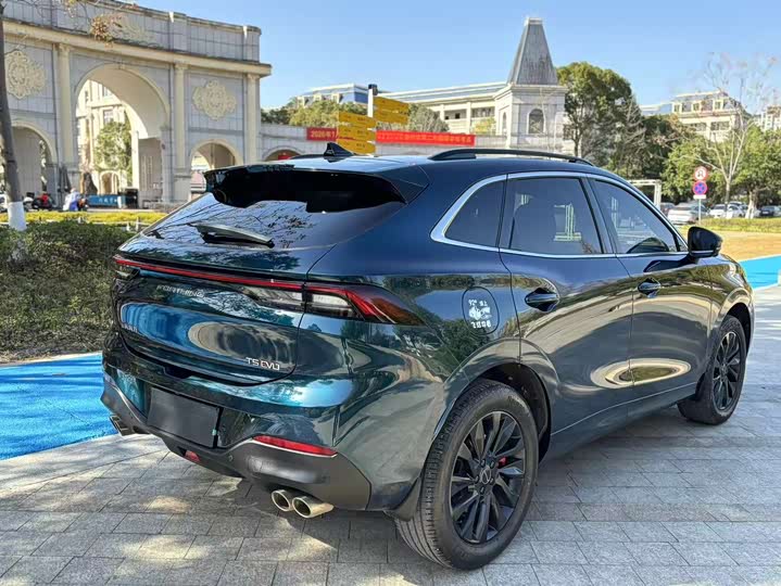 Фото 7 - Dongfeng Forthing T5 EVO