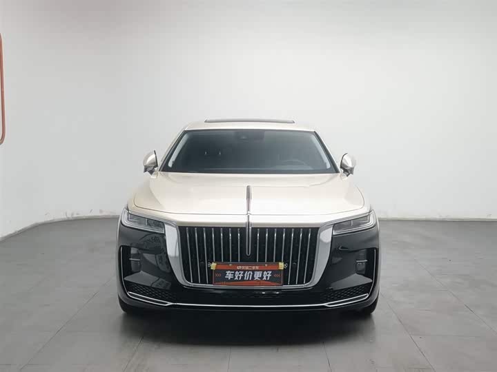 Фото 3 - Hongqi H9