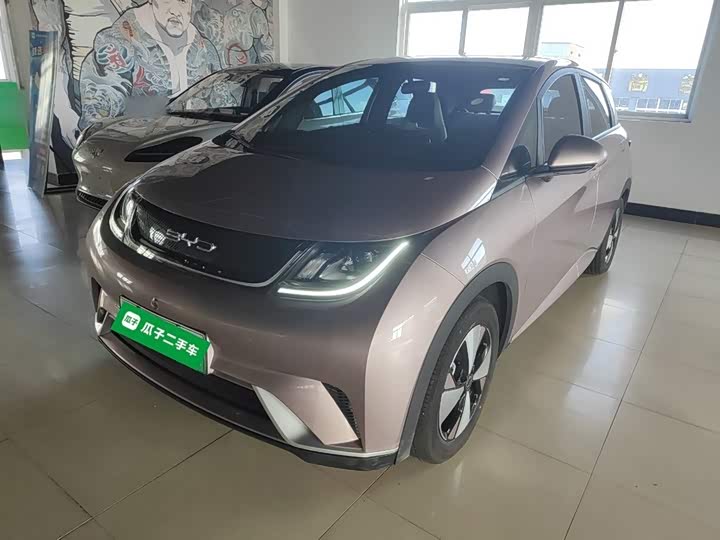 Фото 1 - BYD Dolphin