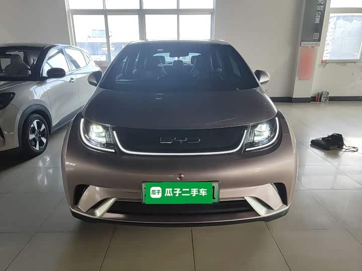 Фото 3 - BYD Dolphin