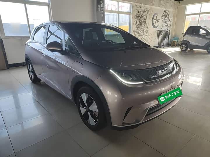 Фото 4 - BYD Dolphin