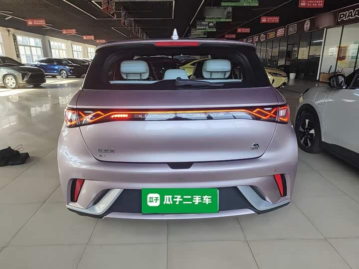 Фото 6 - BYD Dolphin