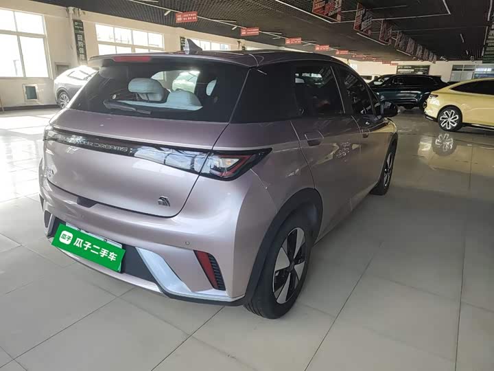 Фото 7 - BYD Dolphin