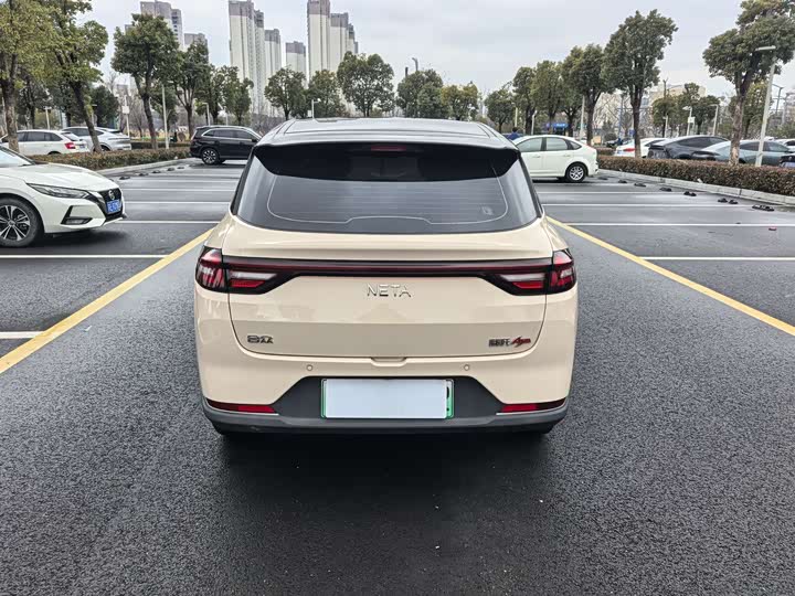 Фото 6 - Hozon AYA