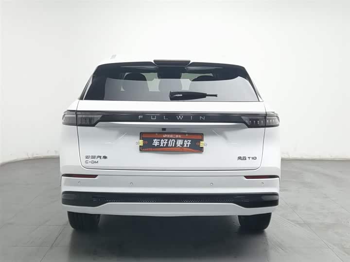 Фото 4 - Chery Fulwin T10