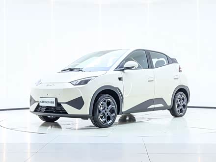 Фото 1 - BYD Seagull