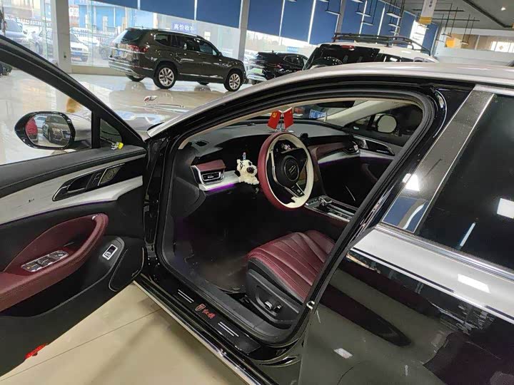 Фото 4 - Hongqi H5