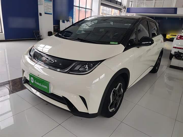 Фото 1 - BYD Dolphin