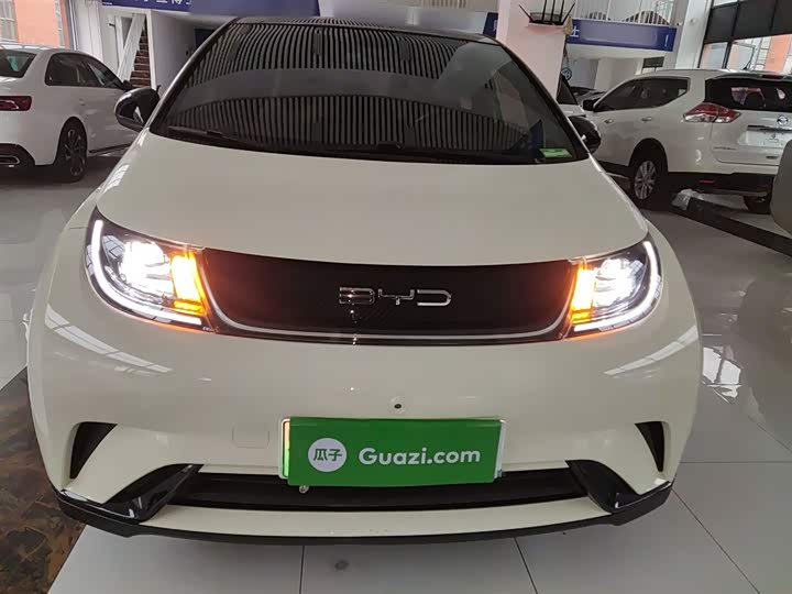 Фото 3 - BYD Dolphin