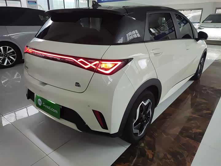 Фото 7 - BYD Dolphin