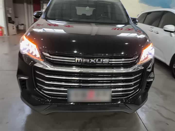 Фото 3 - Maxus G50