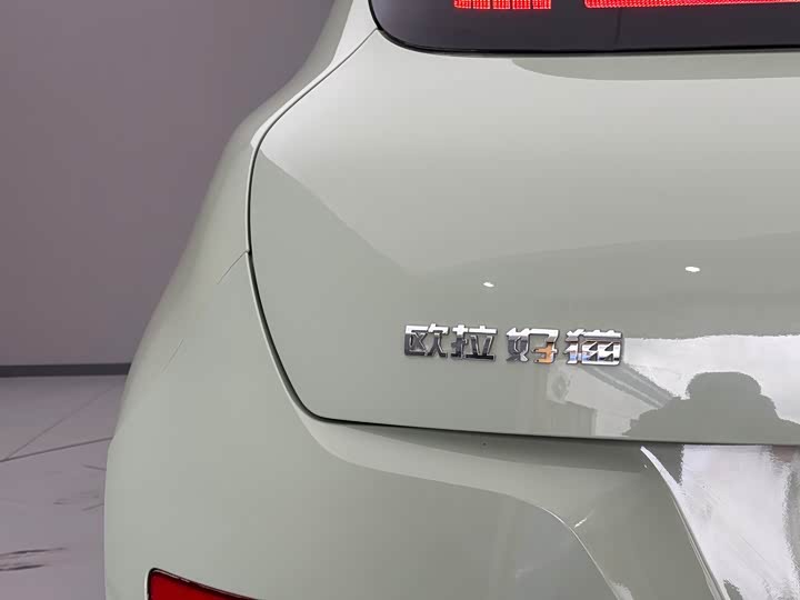 Фото 5 - Ora Good Cat (03)