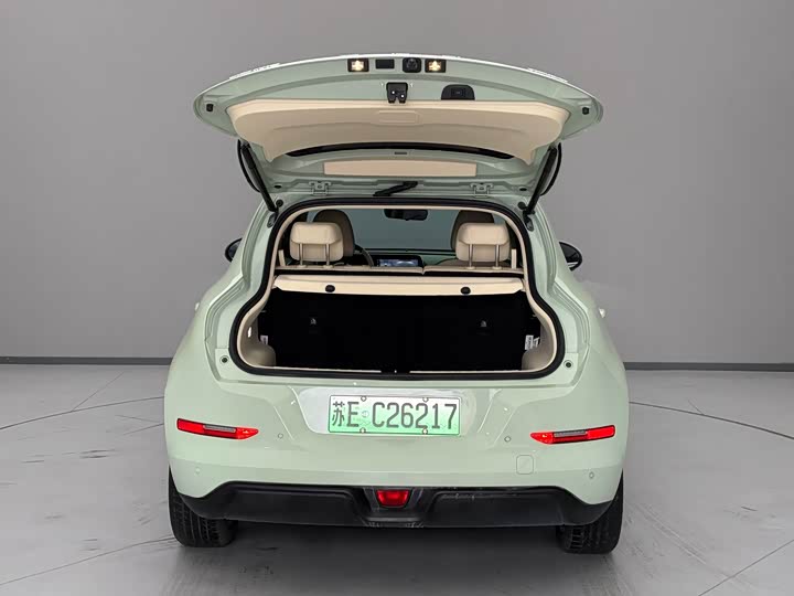 Фото 6 - Ora Good Cat (03)