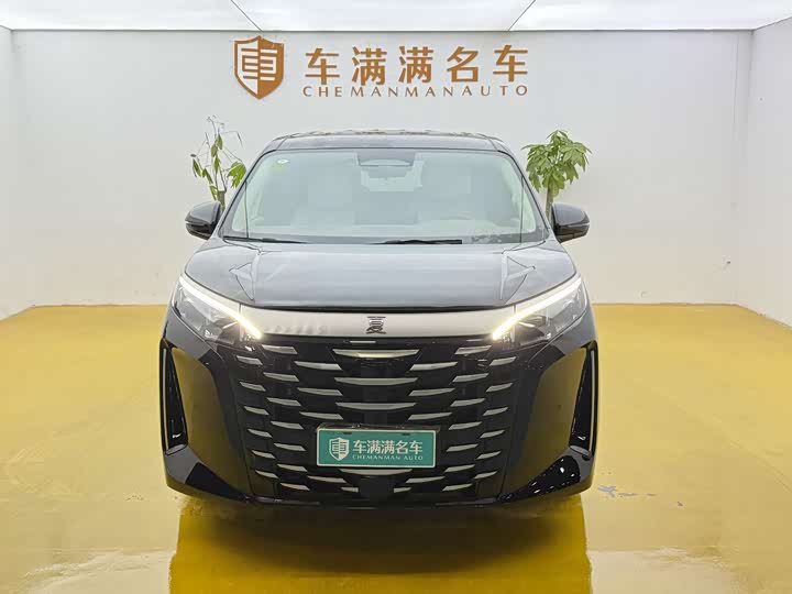 Фото 2 - BYD Xia