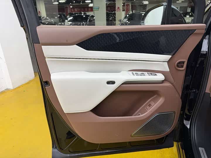 Фото 3 - BYD Xia