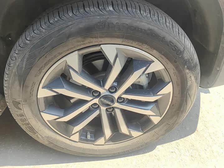 Фото 6 - Haval Dargo