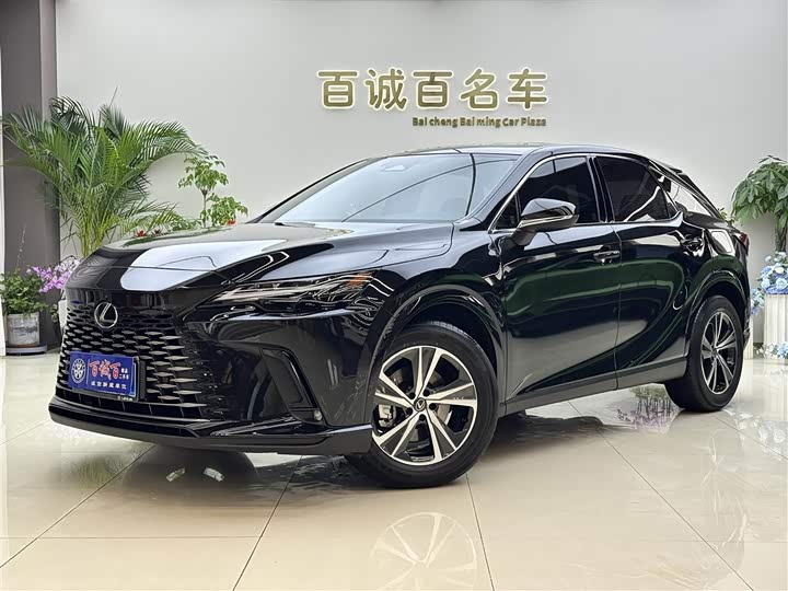 Фото 1 - Lexus RX