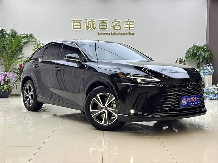 Фото 3 - Lexus RX