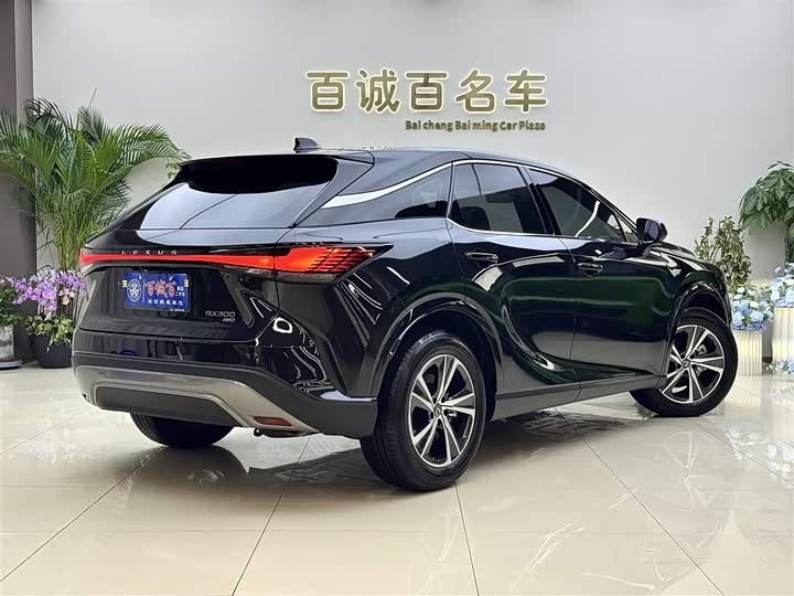 Фото 5 - Lexus RX