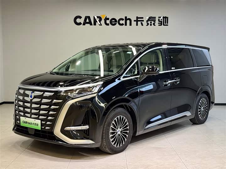 Фото 1 - Denza D9