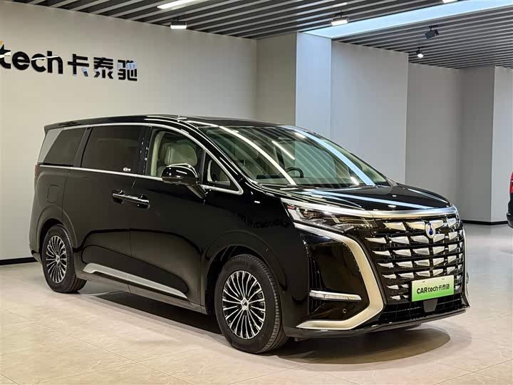 Фото 2 - Denza D9