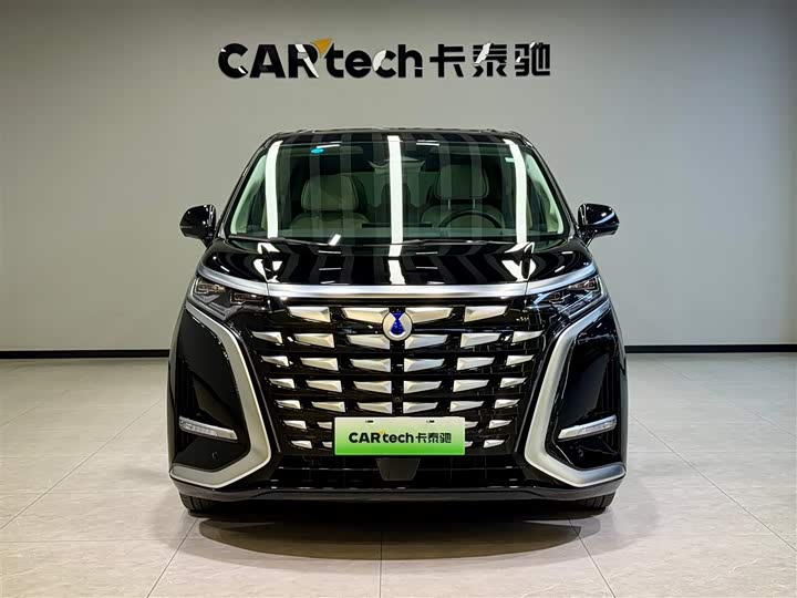 Фото 3 - Denza D9